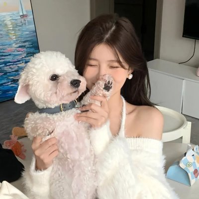 打扰伯格曼